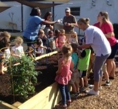 Learning About Gardening and Healthy Food